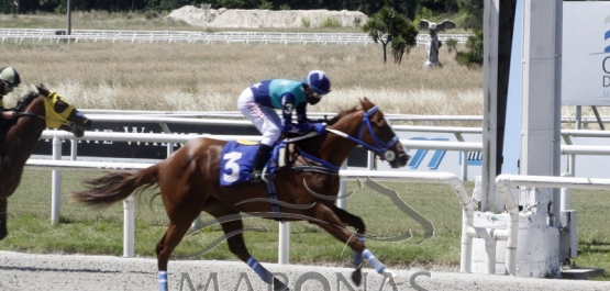 Martes 8 de diciembre de 2020 - Hipódromo Nacional de Maroñas