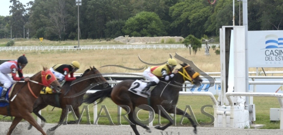 Domingo 13 de diciembre de 2020 - Hipódromo Nacional de Maroñas