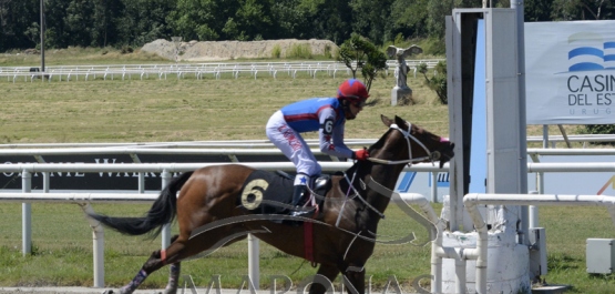 Sábado 19 de diciembre de 2020 - Hipódromo Nacional de Maroñas