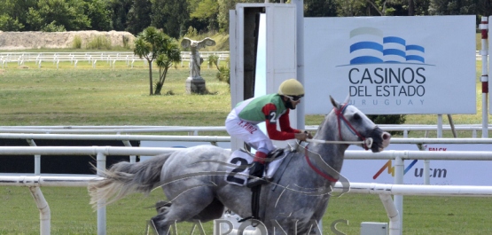 Domingo 17 de enero de 2021 - Hipódromo Nacional de Maroñas