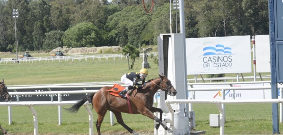 GRAN PREMIO CIUDAD DE MONTEVIDEO - PRESIDENTE JORGE BATLLE G1 - COPA UCM