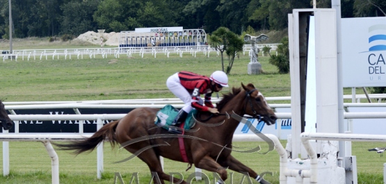 Domingo 24 de enero de 2021 - Hipódromo Nacional de Maroñas