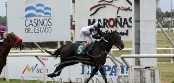 Domingo 31 de enero de 2021 - Hipódromo Nacional de Maroñas