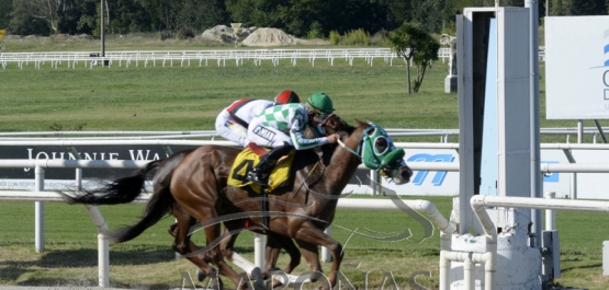 Domingo 7 de febrero de 2021 - Hipódromo Nacional de Maroñas