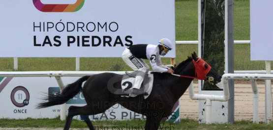 Viernes 12 de febrero  de 2021 - Hipódromo Las Piedras