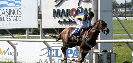 Sábado 13 de febrero de 2021 - Hipódromo Nacional de Maroñas