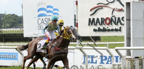 Domingo 14 de febrero de 2021 - Hipódromo Nacional de Maroñas