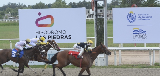 GRAN PREMIO SELECCIÓN