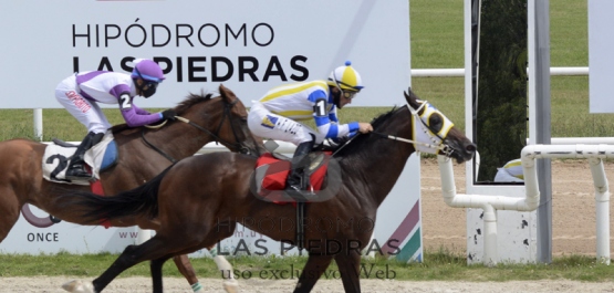 Viernes 19 de febrero de 2021 - Hipódromo Las Piedras