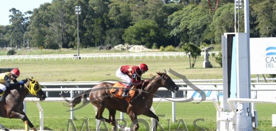 Sábado 20 de febrero de 2021 - Hipódromo Nacional de Maroñas