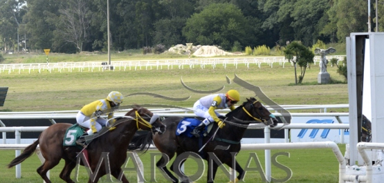 Domingo 21 de febrero de 2021 - Hipódromo Nacional de Maroñas