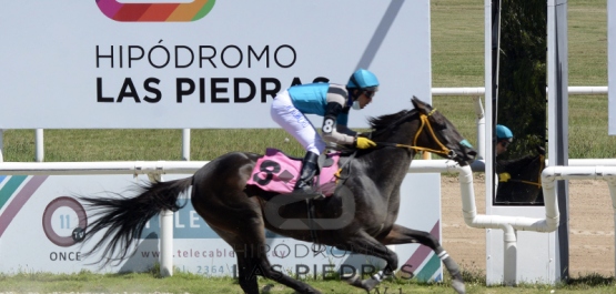 Viernes 26 de febrero de 2021 - Hipódromo Las Piedras