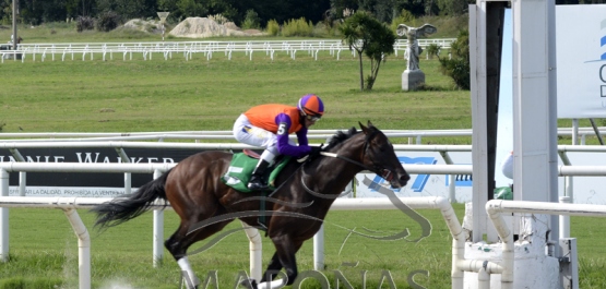 Domingo 28 de febrero de 2021 - Hipódromo Nacional de Maroñas