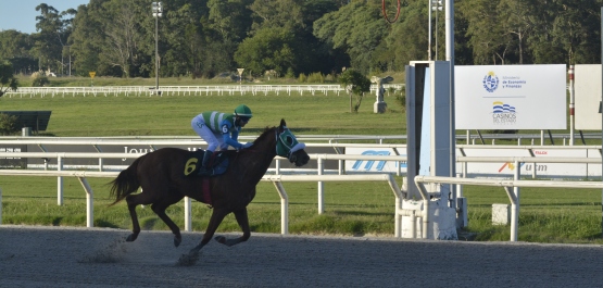 GRAN PREMIO GENERAL ARTIGAS