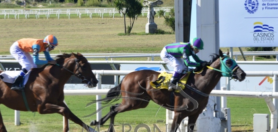 Domingo 14 de marzo de 2021 - Hipódromo Nacional de Maroñas