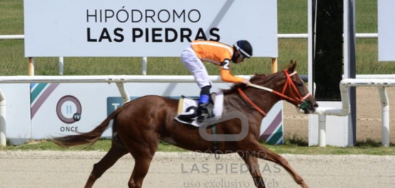 Viernes 19 de marzo de 2021 - Hipódromo Las Piedras