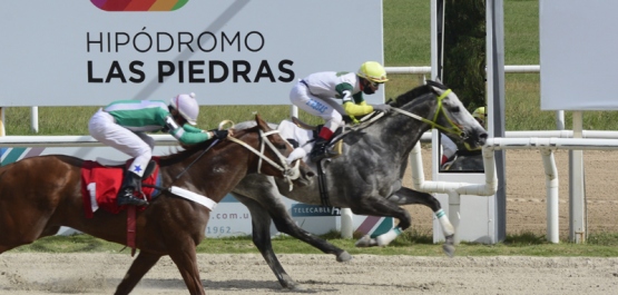 PREFERENCIAL ORO 18