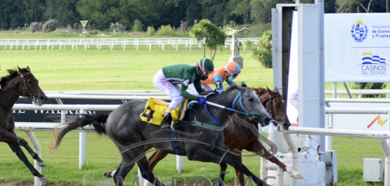 Domingo 28 de marzo de 2021 - Hipódromo Nacional de Maroñas