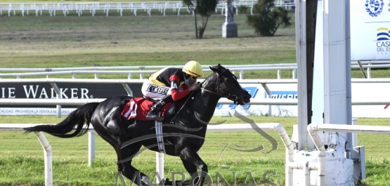 Domingo 4 de abril de 2021 - Hipódromo Nacional de Maroñas