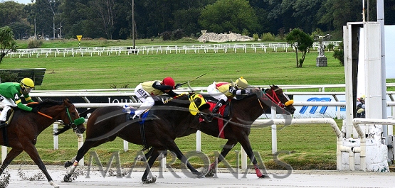 Sábado 10 de abril de 2021 - Hipódromo Nacional de Maroñas