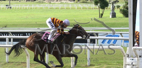 Domingo 11 de abril de 2021 - Hipódromo Nacional de Maroñas