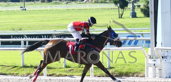 Sábado 17 de abril de 2021 - Hipódromo Nacional de Maroñas