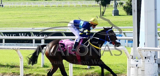 Domingo 18 de abril de 2021 - Hipódromo Nacional de Maroñas