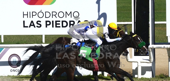 Viernes 23 de abril de 2021 - Hipódromo Las Piedras