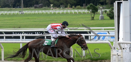 Sábado 24 de abril de 2021 - Hipódromo Nacional de Maroñas