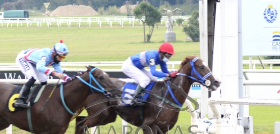 Domingo 16 de mayo de 2021 - Hipódromo Nacional de Maroñas