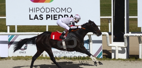 Martes 18 de mayo de 2021 - Hipódromo Las Piedras