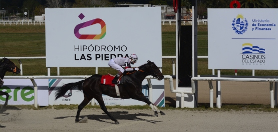 GRAN PREMIO UBALDO SERÉ