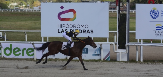 GRAN PREMIO OSAF