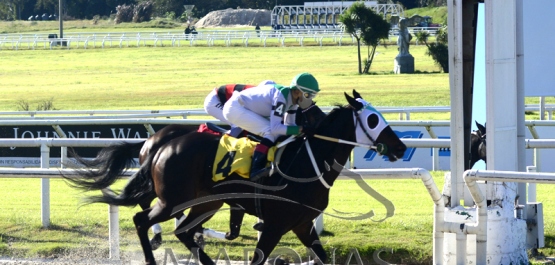 Martes 25 de mayo de 2021 - Hipódromo Nacional de Maroñas