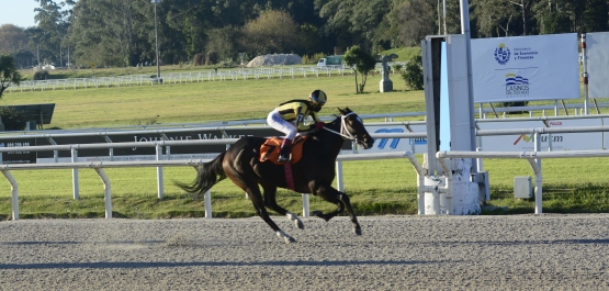 CLÁSICO ANTONIO, ANTONIO J. Y CYRO MATTOS