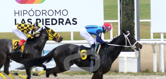 Viernes 4 de junio de 2021 - Hipódromo Las Piedras