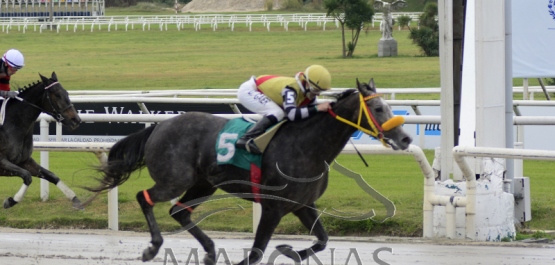 Sábado 5 de junio de 2021 - Hipódromo Nacional de Maroñas