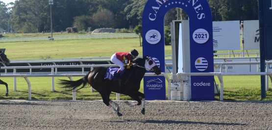 CLÁSICO CAMPEONES JUVENILE SPRINT