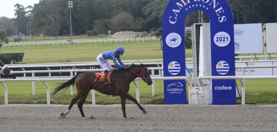 CLÁSICO CAMPEONES JUVENILE FILLIES