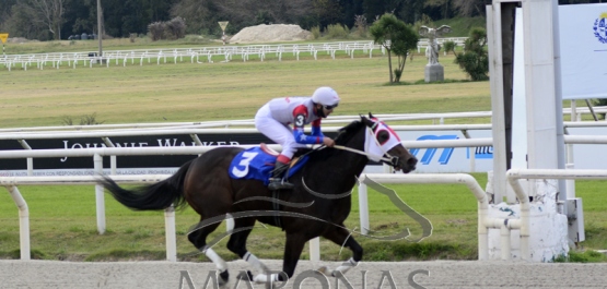 Sábado 19 de junio de 2021 - Hipódromo Nacional de Maroñas