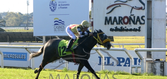 Domingo 20 de junio de 2021 - Hipódromo Nacional de Maroñas