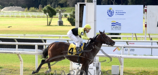 Domingo 27 de junio de 2021 - Hipódromo Nacional de Maroñas