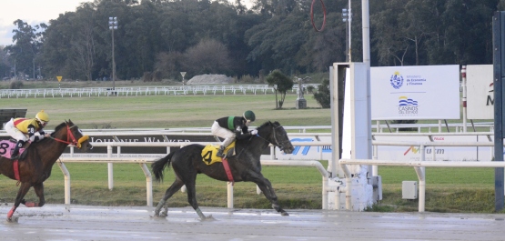 CLÁSICO REAPERTURA HIPODROMO NACIONAL DE MAROÑAS