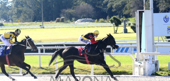 Sábado 3 de julio de 2021 - Hipódromo Nacional de Maroñas