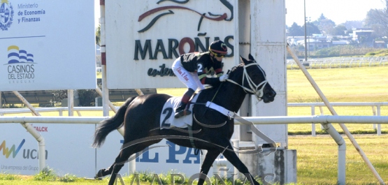 Domingo 4 de julio de 2021 - Hipódromo Nacional de Maroñas