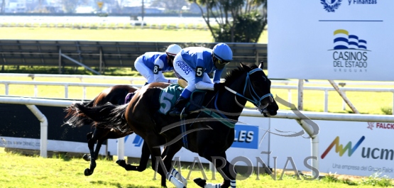 Domingo 11 de julio de 2021 - Hipódromo Nacional de Maroñas