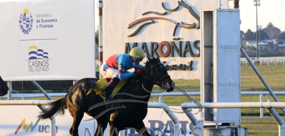 Domingo 1° de agosto de 2021 - Hipódromo Nacional de Maroñas