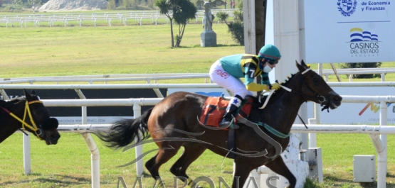 Sábado 7 de agosto de 2021 - Hipódromo Nacional de Maroñas