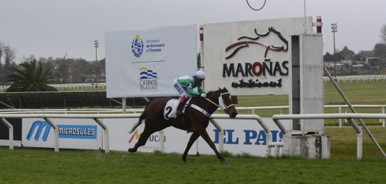 CLÁSICO HARAS DEL URUGUAY POTRANCAS