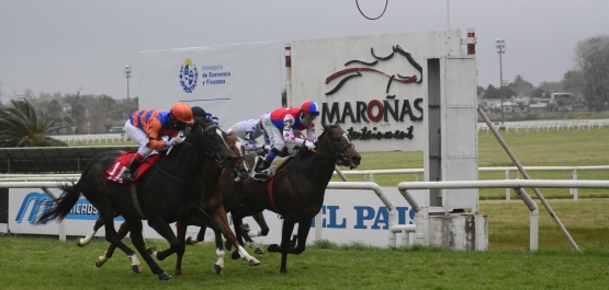 CLÁSICO HARAS DEL URUGUAY POTRILLOS